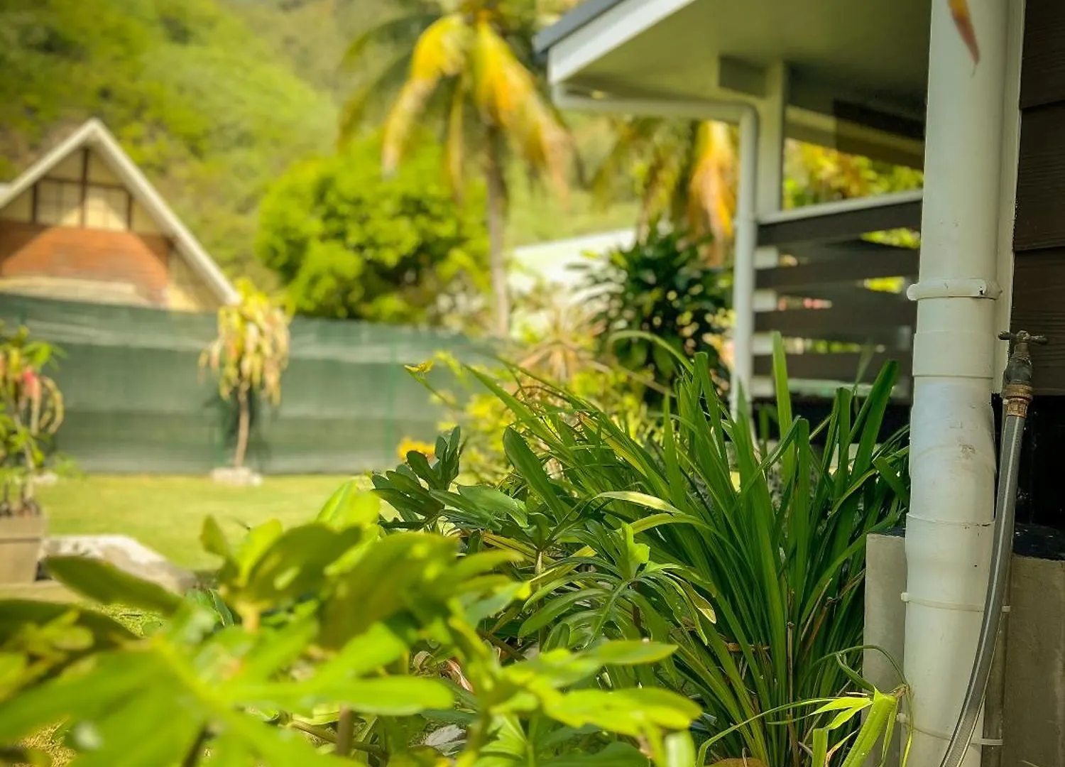 Villa Heinani Lodge Tiahura Moorea